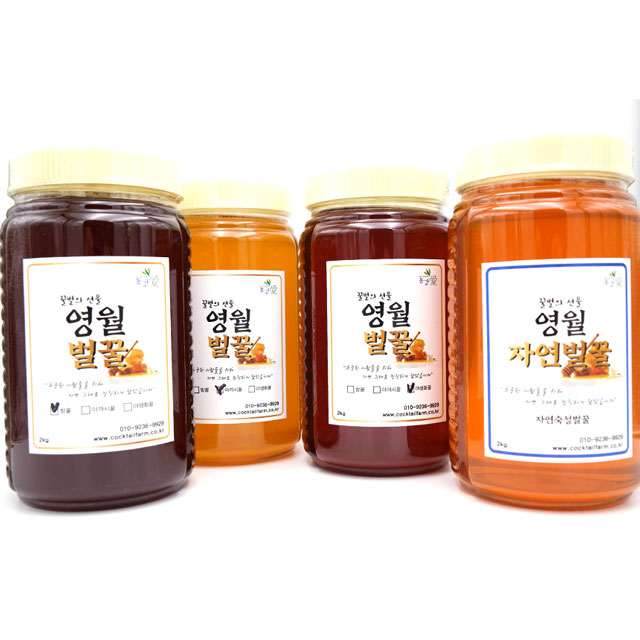 영월몰,온전히 자연 담은 천연벌꿀 숙성꿀 2kg(PET병)