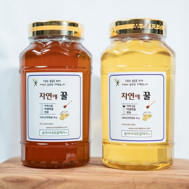 영월몰,송여사네 천연벌꿀 2kg 야생화꿀